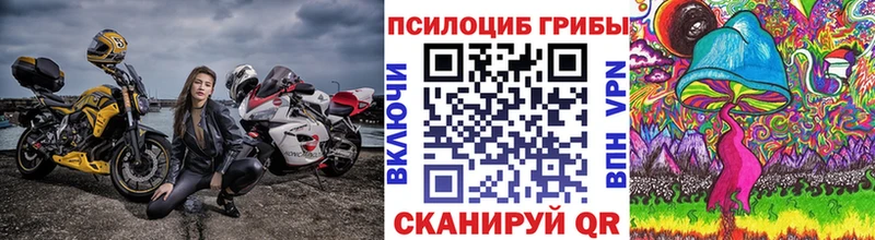 Галлюциногенные грибы Psilocybe  цена   Янаул 